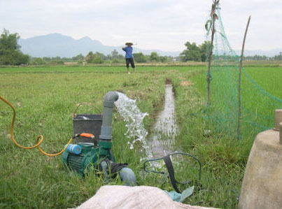 Máy bơm nước thường được sử dụng trong đồng ruộng